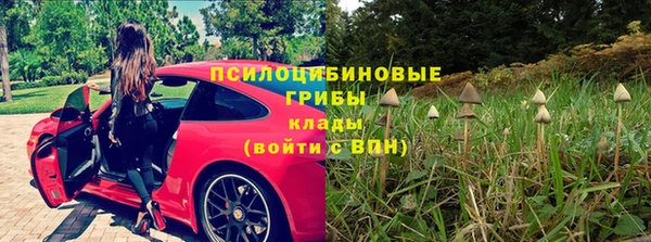 дурь Наволоки