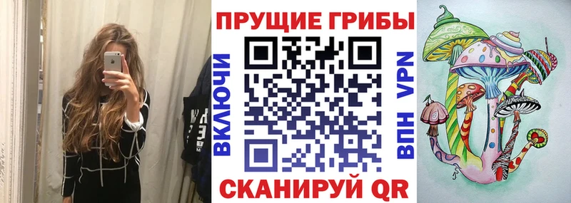 что такое наркотик  Питкяранта  Галлюциногенные грибы прущие грибы 